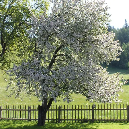Haus Hartl Saalfelden