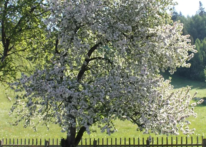 Haus Hartl Saalfelden